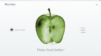 Website proposal image